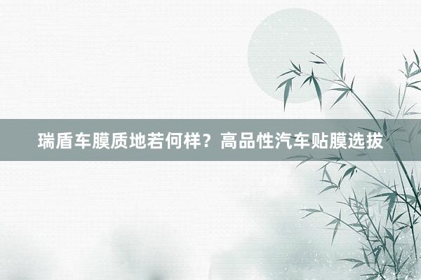 瑞盾车膜质地若何样？高品性汽车贴膜选拔